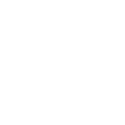 Vision
